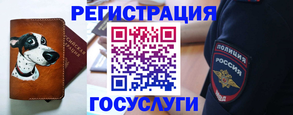 временная регистрация в квартире в Исилькуле